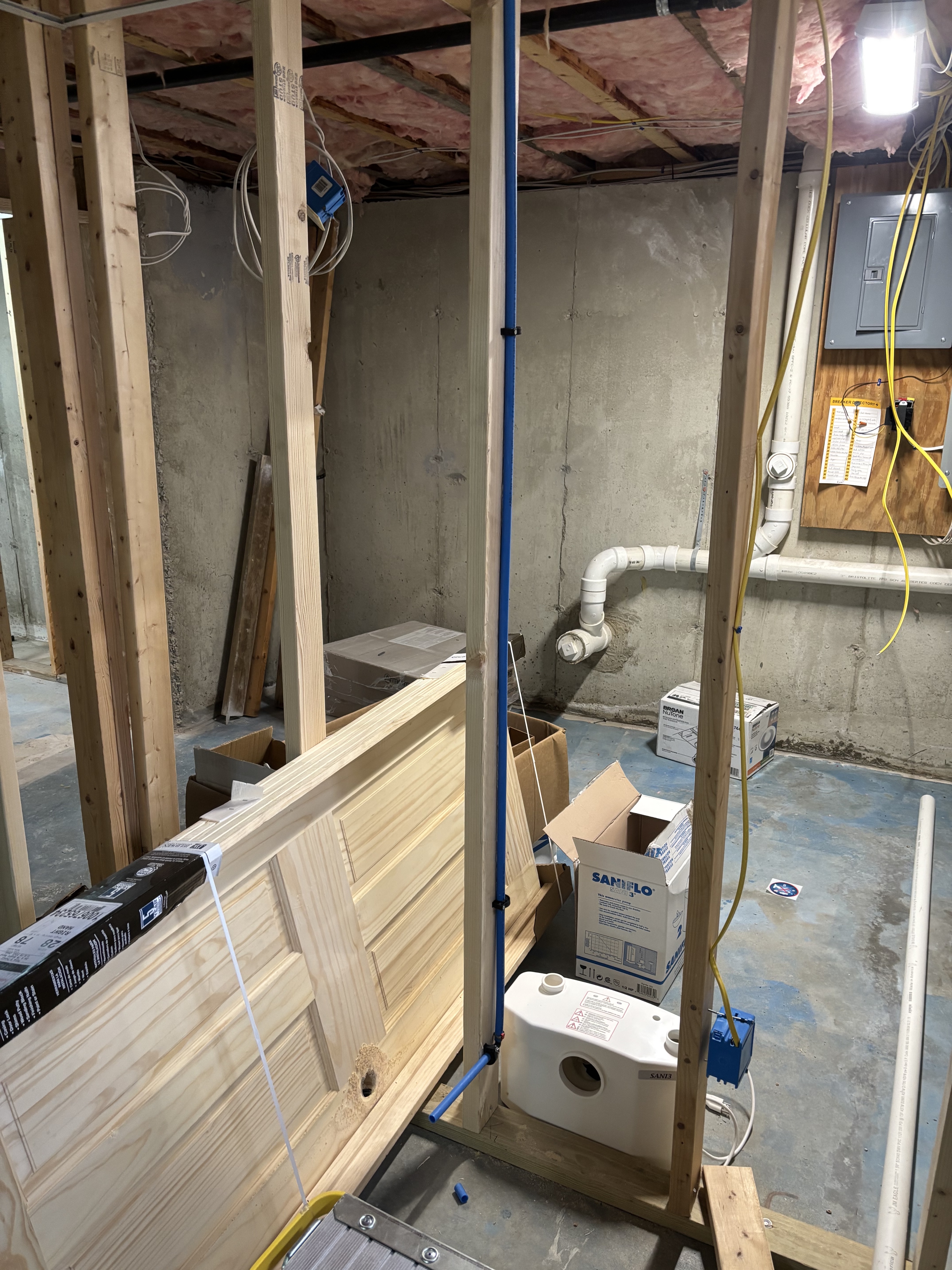 Basement bathroom rough with Saniflo tank